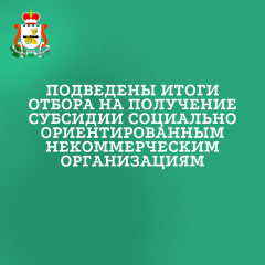подведены итоги отбора на получение субсидии социально ориентированным некоммерческим организациям - фото - 1