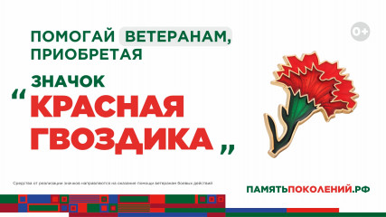 стартовала ежегодная Всероссийская акция помощи ветеранам «Красная гвоздика» - фото - 2